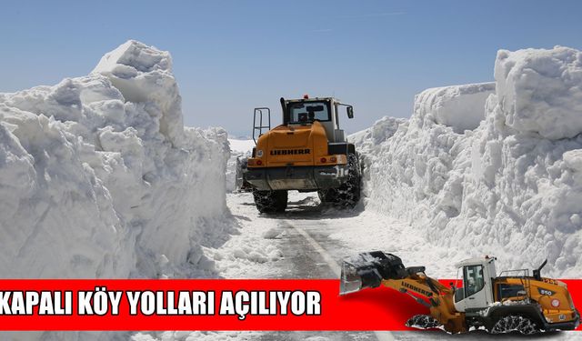 Muş’ta 41 kapalı köy yolu ulaşıma açıldı