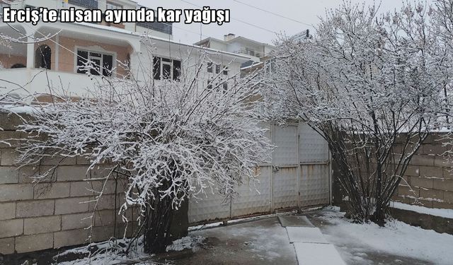 Van'da nisan ayında kar yağışı etkili oldu