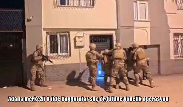 Bayğaralar çetesine 8 ilde darbe: 287 gözaltı, cephanelik ele geçirildi