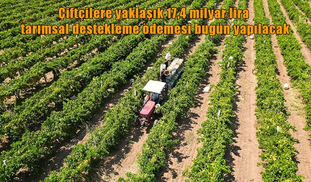 Bakan Yumaklı duyurdu: Çiftçilere milyarlarca liralık destek ödemesi