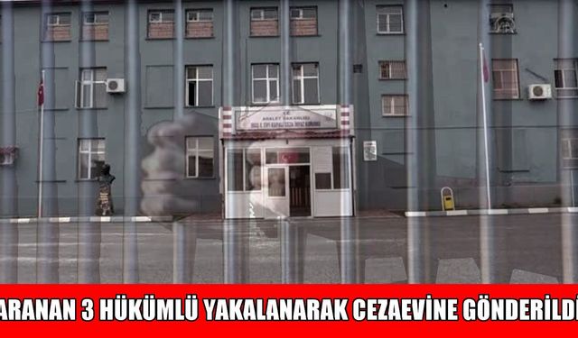 Muş’ta aranan 3 şahıs yakalandı