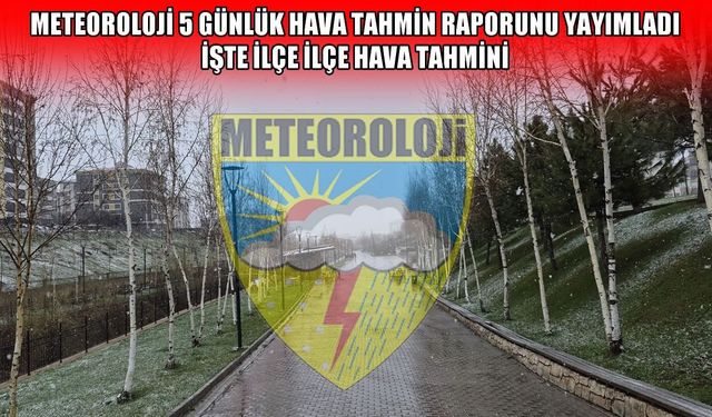 Muş’ta 5 günlük hava tahmin raporu: Kar yağışı devam edecek mi?