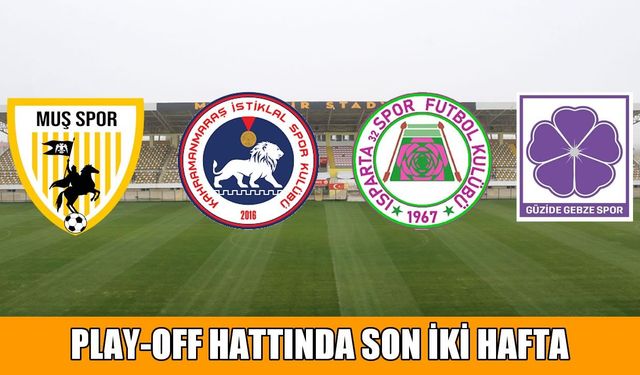 Muşspor play-off için kenetlendi