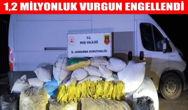 Muş’ta tütün operasyonu: 1,2 milyon TL değerinde kaçak ürün ele geçirildi