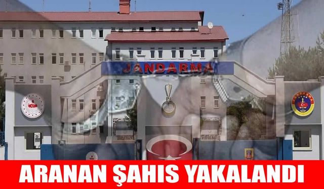 Muş’ta aranan hükümlü jandarma tarafından yakalandı
