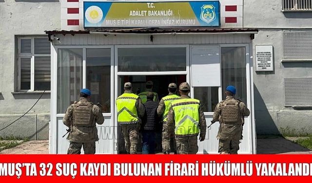 Jandarmadan suç makinesine şafak darbesi: 30 yıllık firar Hasköy’de son buldu