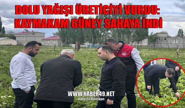 Hasköy Kaymakamı Güney, hasar tespit çalışmalarını yerinde inceledi
