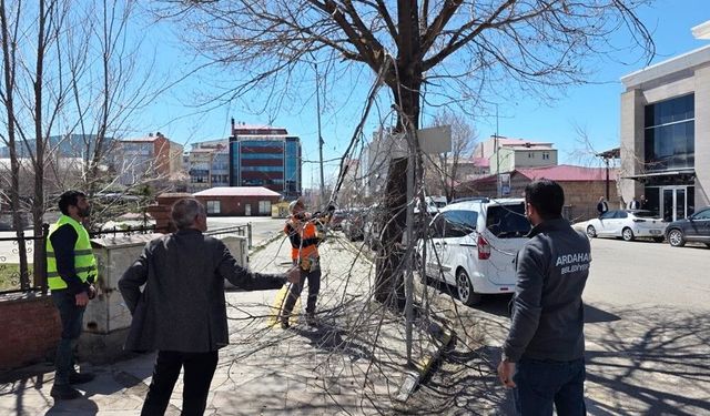 Ardahan Belediyesi Ağaç Budama Çalışmalarına Hız Verdi