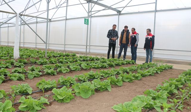 Erzincan’da 23 Dekarlık Serada Yılda 3 Ürün Hasadı: Bölge Tarımına Güçlü Katkı