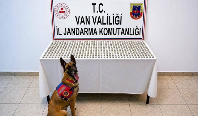 Van'da 8 İranlı'nın midesinde 3 kilo esrar ele geçirildi