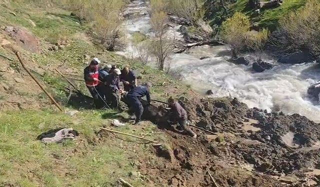 Hakkari’de bataklığa saplanan inek kurtarıldı