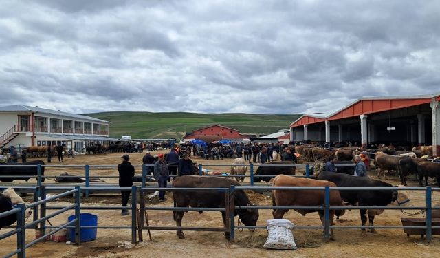 Erzurum’da kurban pazarı hareketlendi