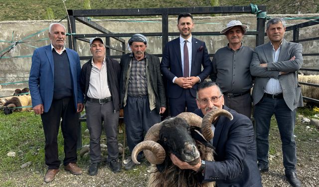 Yüksekova’da hayvan pazarında bayram hareketliliği