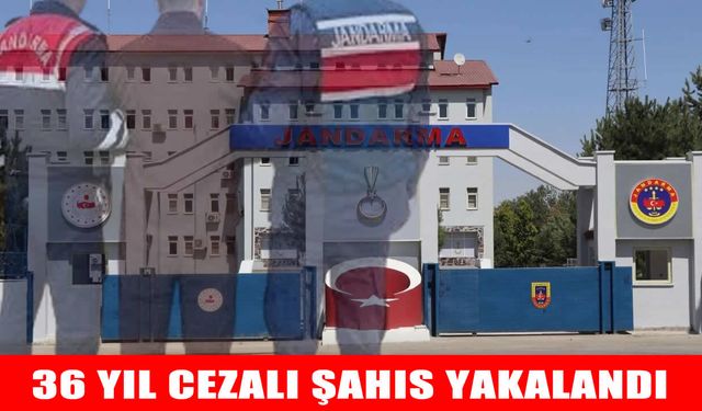 Muş’ta 36 yıl hapis cezası ile aranan şahıs yakalandı