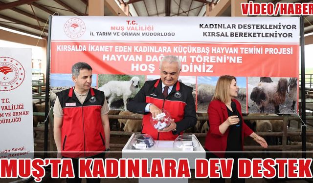 Muş’ta 170 kadına 3 bin 400 küçükbaş hayvan dağıtıldı