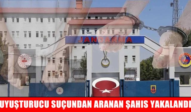 Muş’ta 3 yıl hapis cezasıyla aranan hükümlü yakalandı