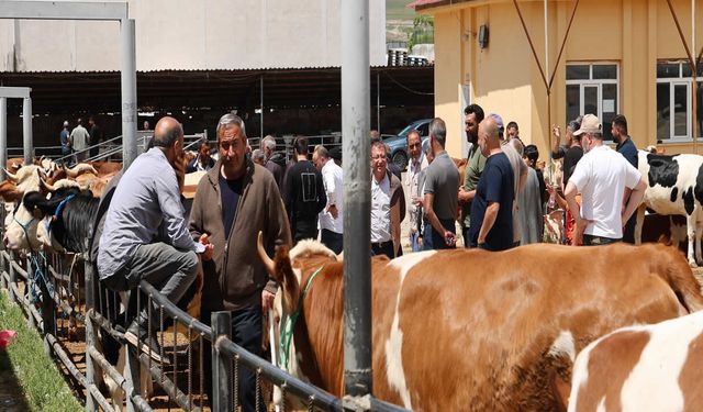 Elazığ Hayvan Pazarı’nda arife günü yoğunluğu