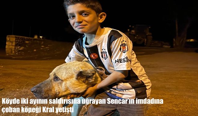 Bölge