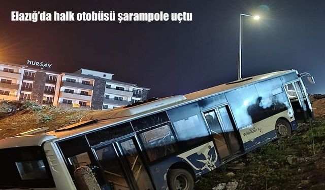 Elazığ'da halk otobüsü şarampole uçtu
