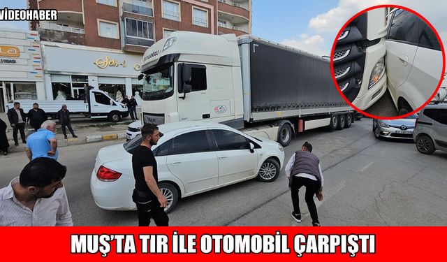 Muş’ta TIR ile otomobil çarpıştı