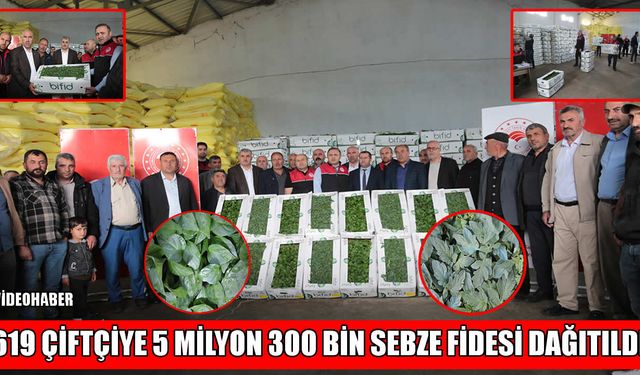 Muş’ta 619 çiftçiye sebze fidesi desteği