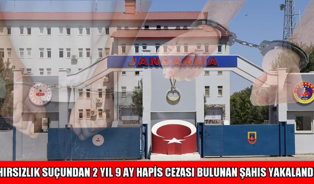 Muş'ta hırsızlık suçundan aranan hükümlü yakalandı