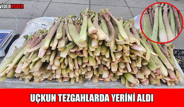 Muş’ta uçkun satışı başladı