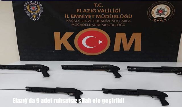 Elazığ’da ruhsatsız silah ele geçirildi: 2 gözaltı