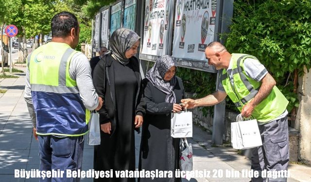 Malatya'da vatandaşlara ücretsiz 20 bin fide dağıtıldı