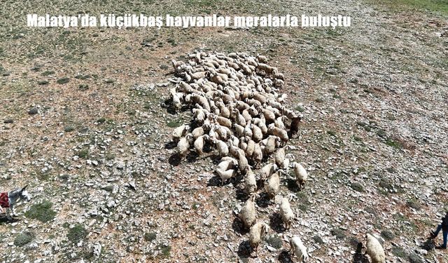 Bölge
