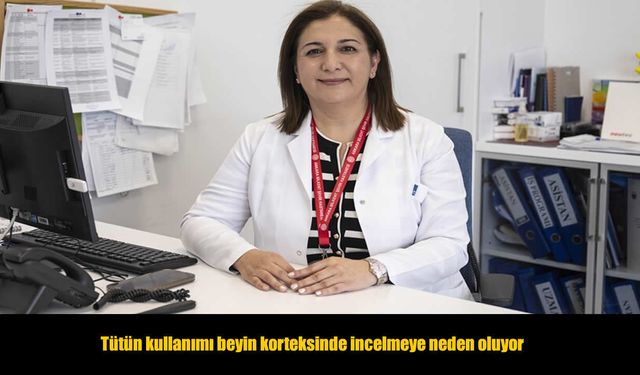 Nöroloji Uzmanı Açıkladı: Sigara Beyin Korteksini İnceltiyor