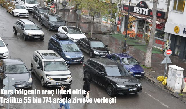 Kars bölgenin araç lideri oldu: Trafikte 55 bin 774 araçla zirveye yerleşti