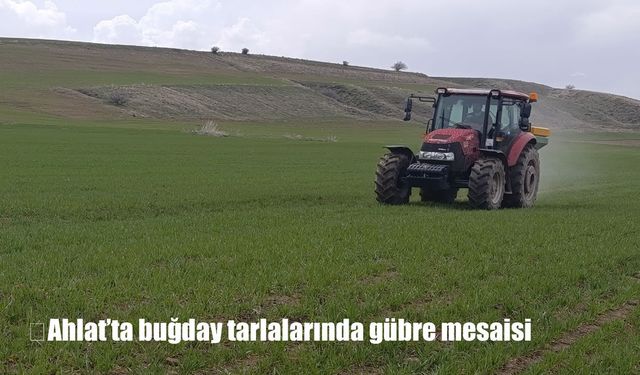 Bölge