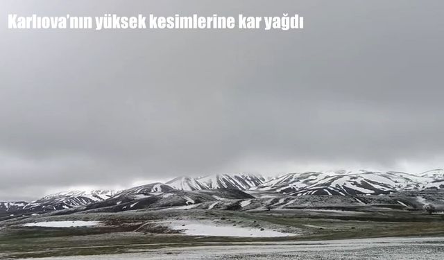 Bölge