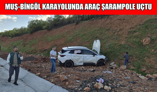 Muş-Bingöl kara yolunda kaza: 6 yaralı