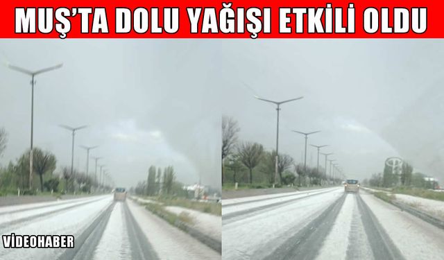 Muş’a mayıs ortasında dolu yağdı