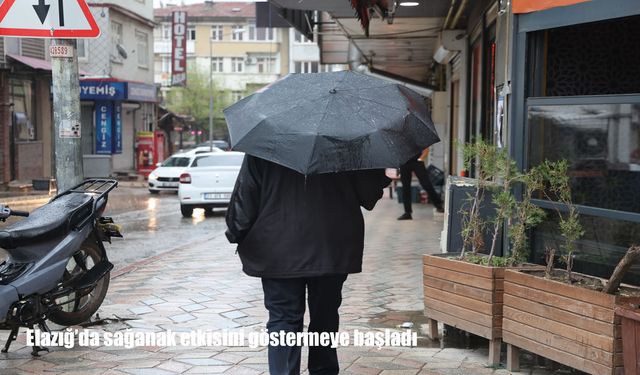 Bölge