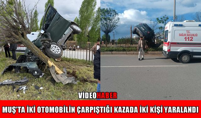 Muş-Bitlis kara yolunda iki araç çarpıştı: 2 yaralı