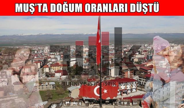 TÜİK doğum istatistiklerini yayımladı: Muş’ta doğum oranı düşüyor
