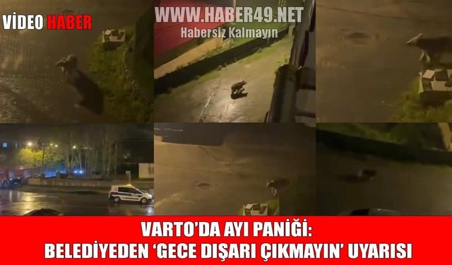 Varto’da korkutan görüntüler: Mahallelerde dolaşan ayılar kamerada!