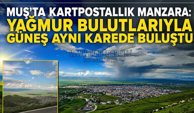 Bahar yağmurları sonrası Muş’ta doğa şöleni