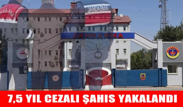 Muş’ta 7,5 yıl hapis cezası bulunan şahıs jandarma tarafından yakalandı