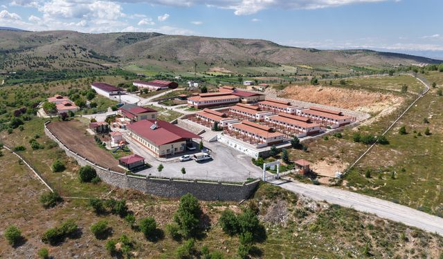 Elazığ Belediyesi Hayvan Bakım Merkezi'nde 9 yılda 15 bin 368 hayvan tedavi edildi