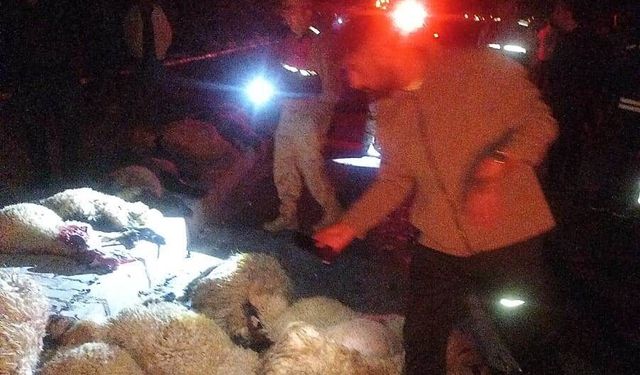 Van’da otomobil koyun sürüsüne çarptı: 17 koyun telef oldu