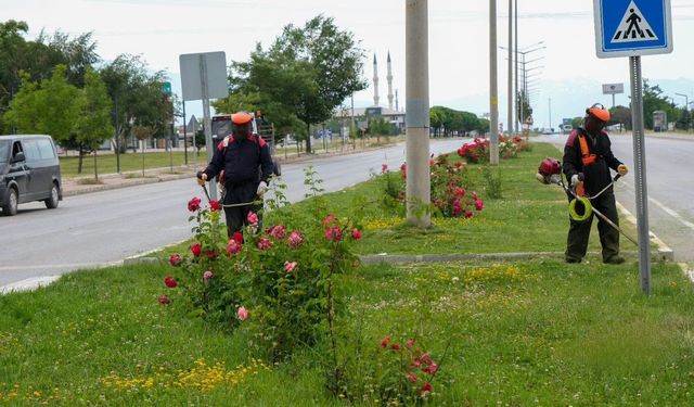 Erzincan’da Yeşil Alanlarda Bakım Çalışmaları Sürüyor
