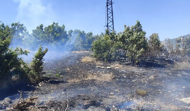 Bingöl’de çıkan orman yangını büyümeden kontrol altına alındı