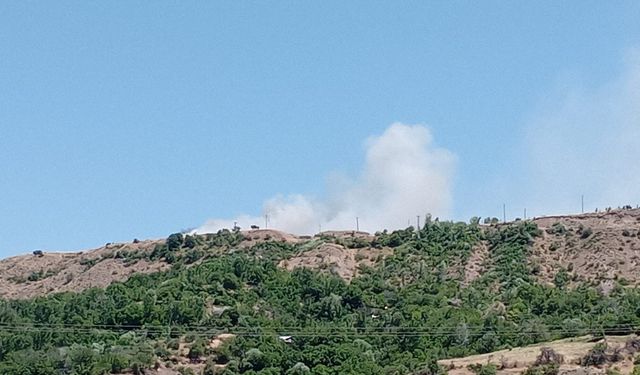 Elazığ’da arazi yangını