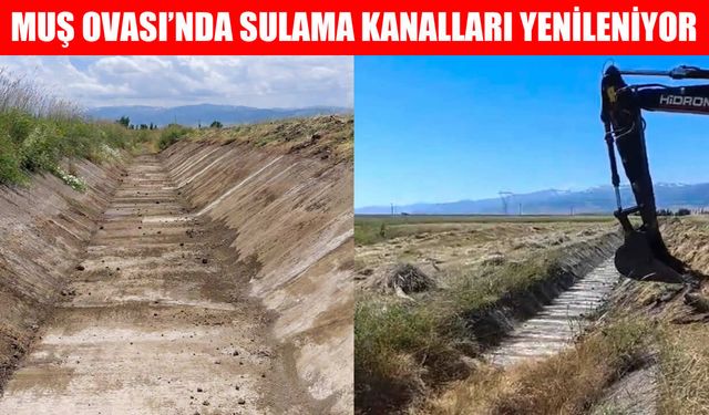 Muş Odası’nı sulayan kanallar temizleniyor