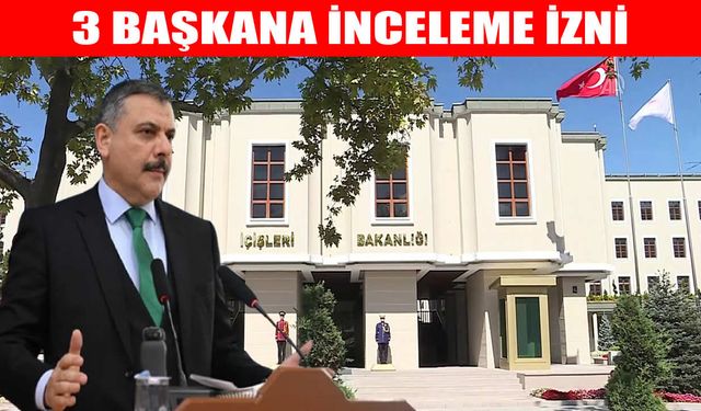 İçişleri Bakanlığı’ndan belediyelere sokak hayvanları soruşturması