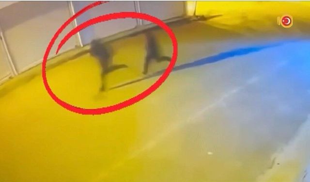 Diyarbakır’da silahlı suç örgütü şebekesi çökertildi: 40 gözaltı